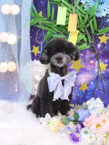 20250710コタロウくん